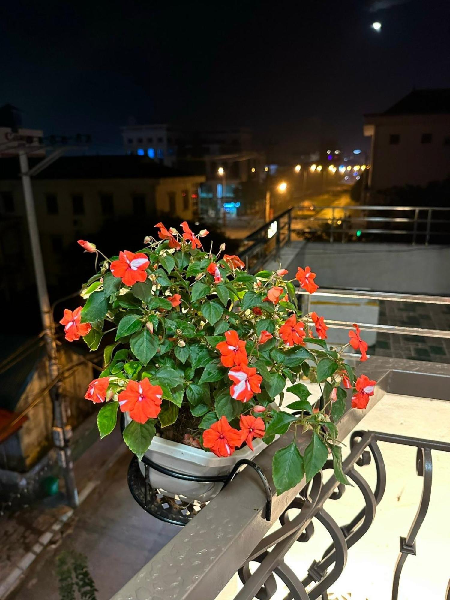 Dolce Mia Home Ninh Binh Exterior photo